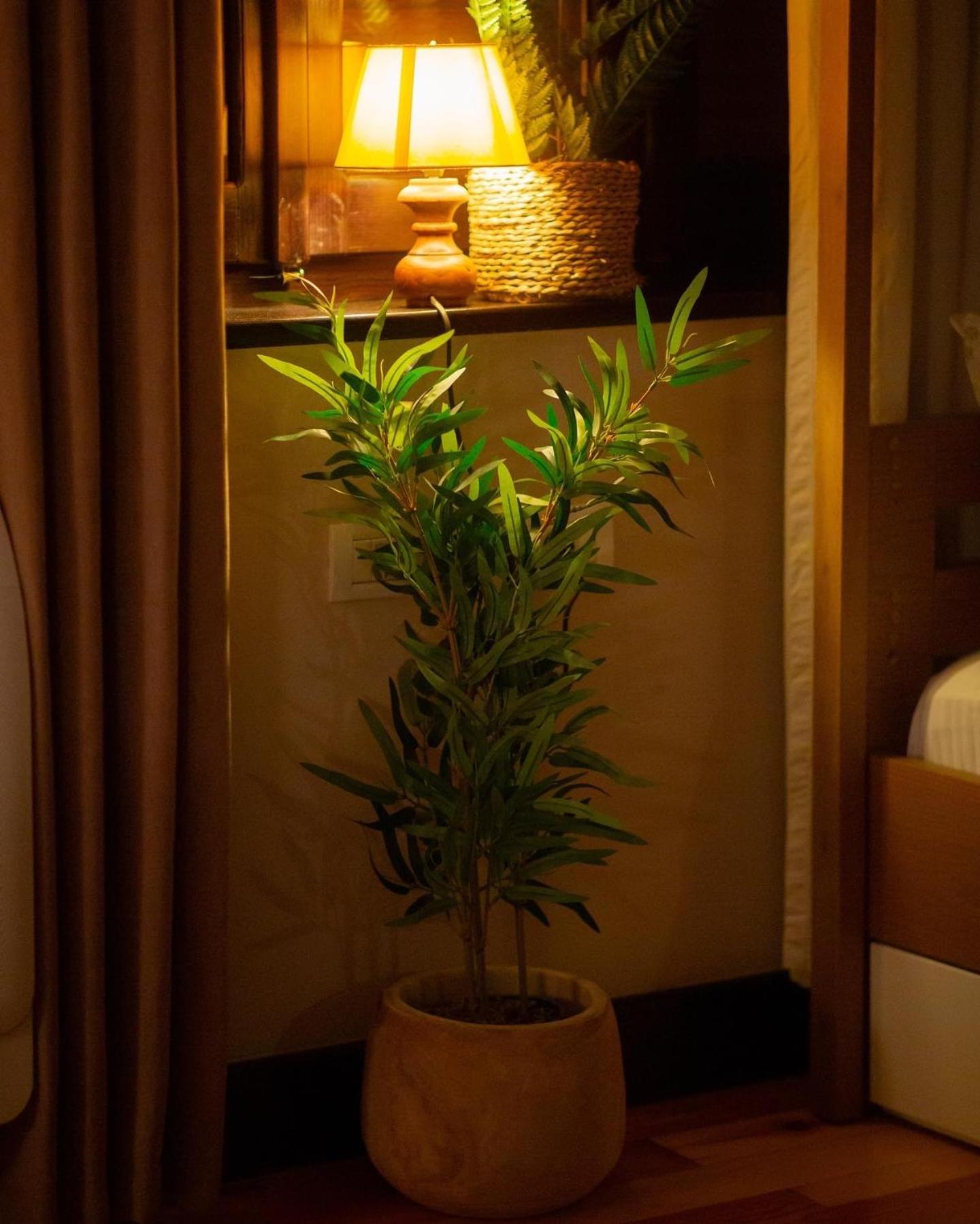 Villa Elezi 2 คอร์เชอ ภายนอก รูปภาพ